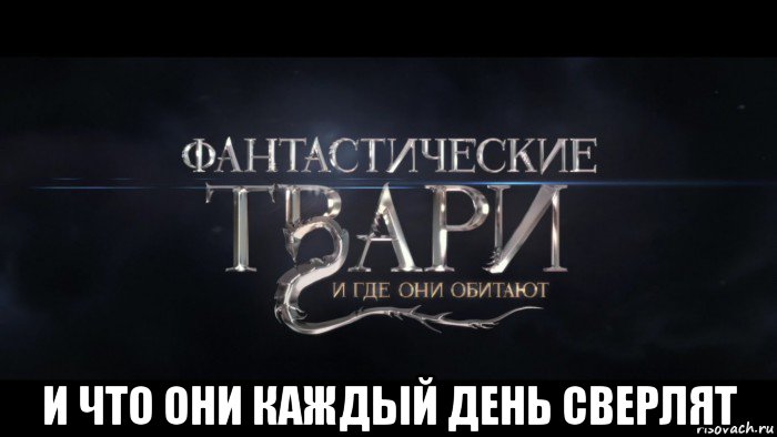  и что они каждый день сверлят