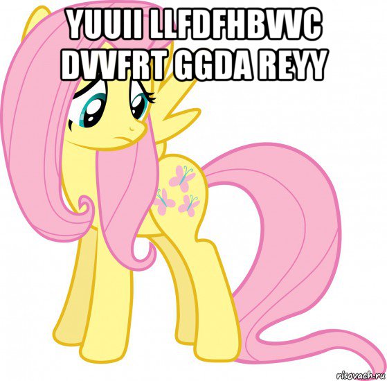 yuuii llfdfhbvvc dvvfrt ggda reyy 