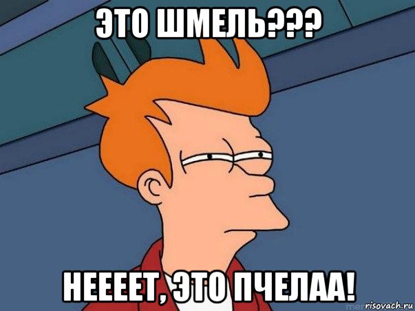 это шмель??? неееет, это пчелаа!, Мем  Фрай (мне кажется или)