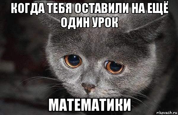 когда тебя оставили на ещё один урок математики, Мем  Грустный кот