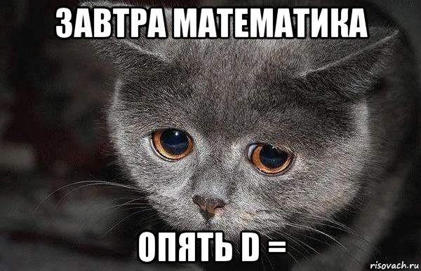 завтра математика опять d =, Мем  Грустный кот
