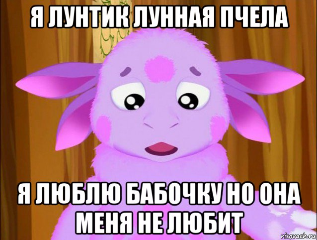 я лунтик лунная пчела я люблю бабочку но она меня не любит