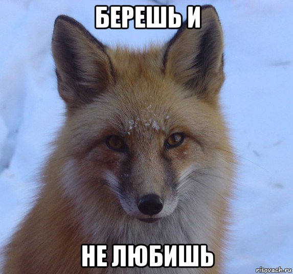 берешь и не любишь