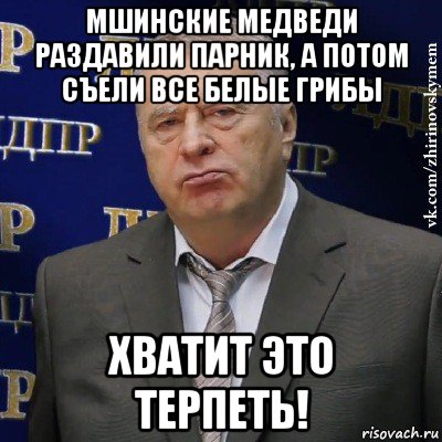 мшинские медведи раздавили парник, а потом съели все белые грибы хватит это терпеть!, Мем Хватит это терпеть (Жириновский)