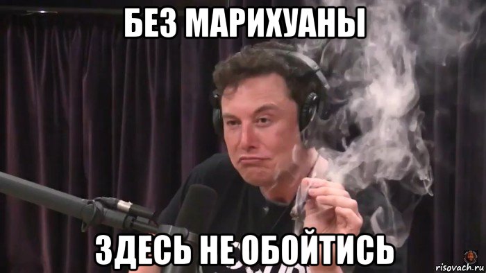 без марихуаны здесь не обойтись, Мем Илон Маск