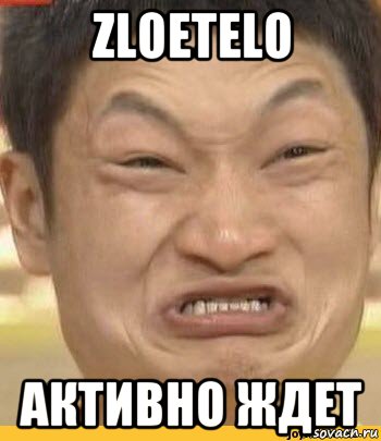 zloetelo активно ждет