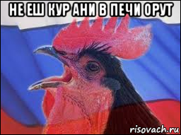 не еш кур ани в печи орут 