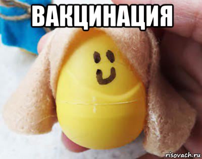 вакцинация 