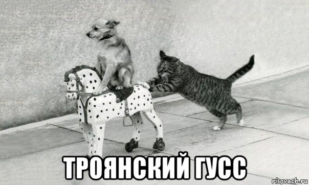  троянский гусс