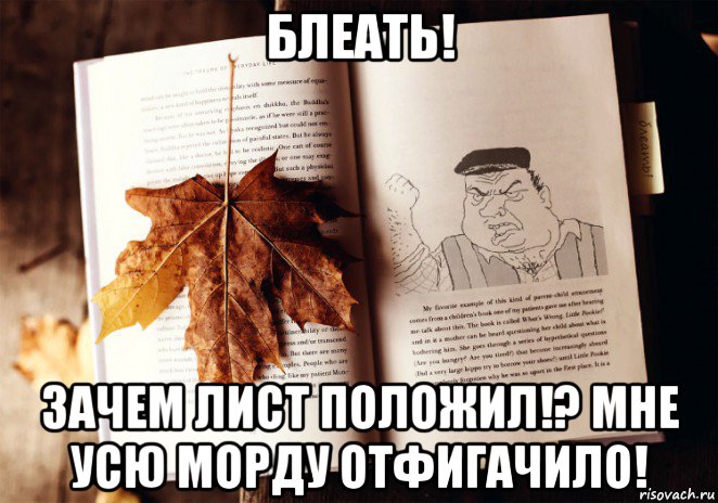 блеать! зачем лист положил!? мне усю морду отфигачило!