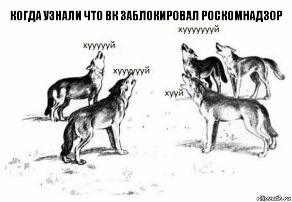 когда узнали что вк заблокировал роскомнадзор