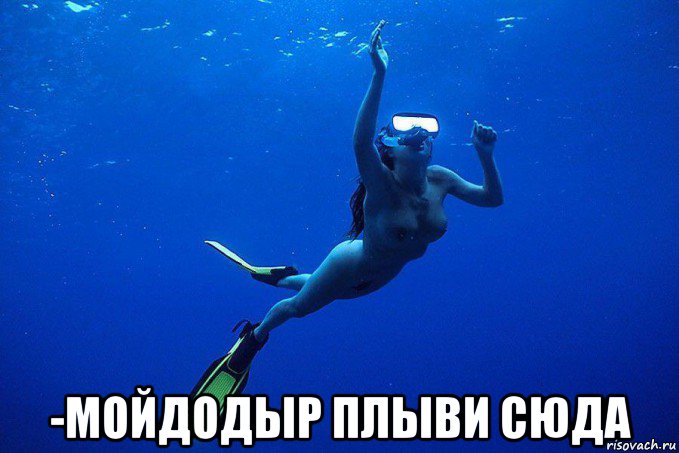  -мойдодыр плыви сюда