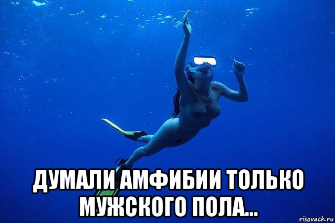  думали амфибии только мужского пола...