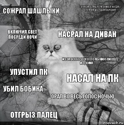 Сожрал шашлыки Насал на пк Насрал на диван Отгрыз палец Упустил пк Хозяена с табурета скинул когда у тога на шее была верёвка Орал во весь голос ночью Включил свет посреди ночи Убил бобика ИЗ ЗА ВСЕГО ЭТОГО ЕГО АЫкинули из дома