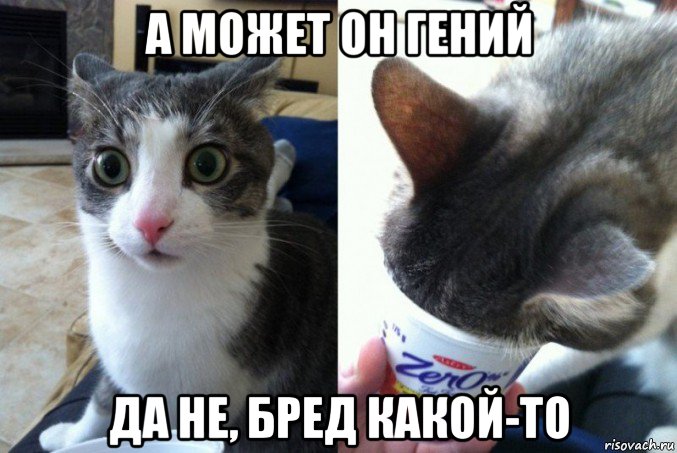 а может он гений да не, бред какой-то