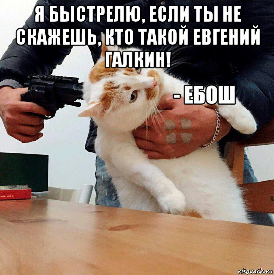 я быстрелю, если ты не скажешь, кто такой евгений галкин! 