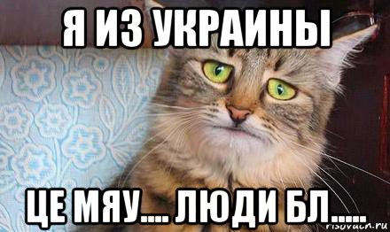 я из украины це мяу.... люди бл....., Мем  кот печаль