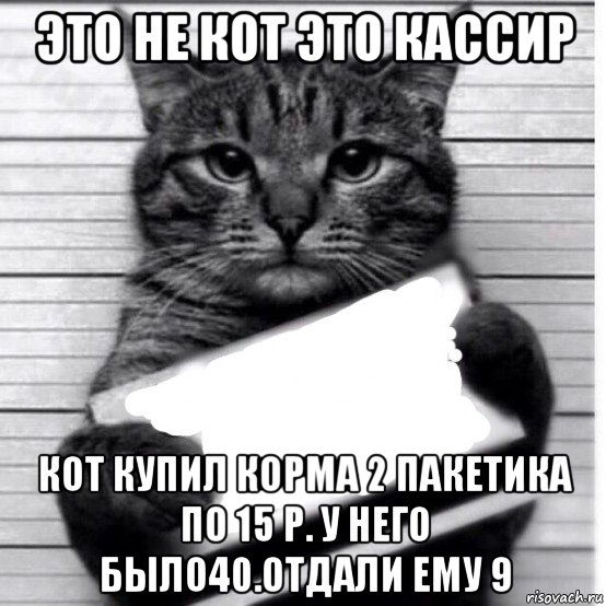 это не кот это кассир кот купил корма 2 пакетика по 15 р. у него было40.отдали ему 9, Мем Кот с табличкой