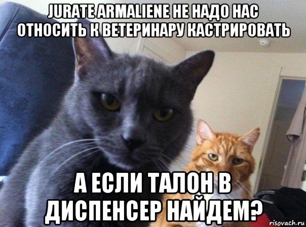 jurate armaliene не надо нас относить к ветеринару кастрировать а если талон в диспенсер найдем?