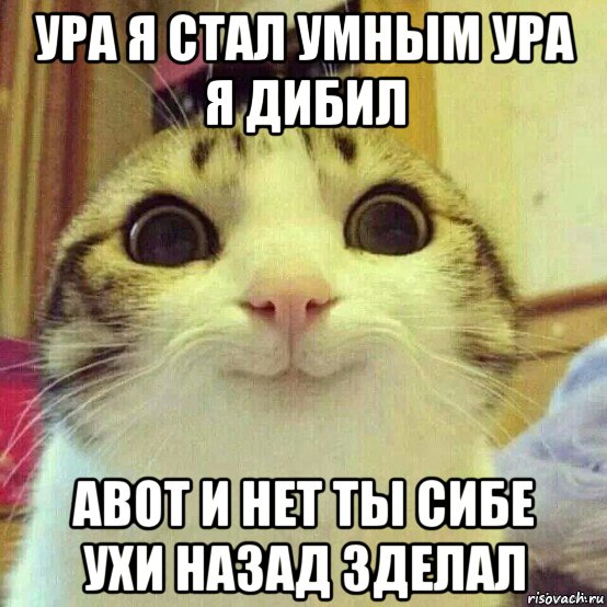 ура я стал умным ура я дибил авот и нет ты сибе ухи назад зделал, Мем       Котяка-улыбака