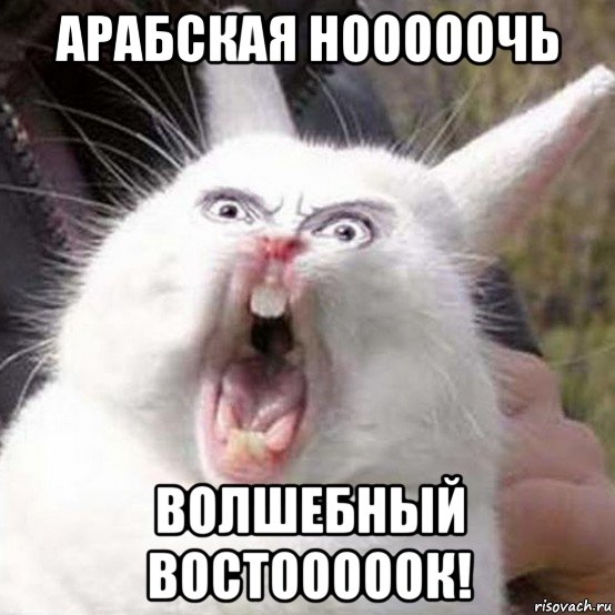 арабская нооооочь волшебный востооооок!