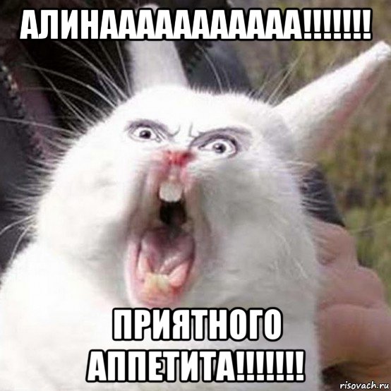 алинааааааааааа!!!!!!! приятного аппетита!!!!!!!