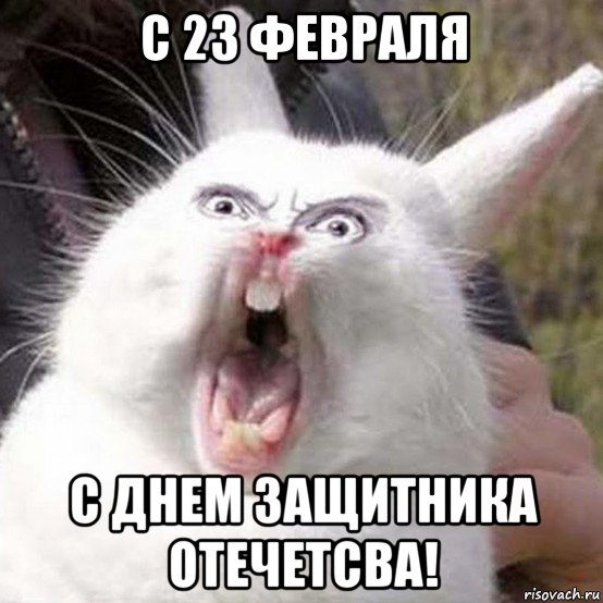 с 23 февраля с днем защитника отечетсва!