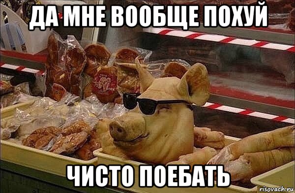 да мне вообще похуй чисто поебать, Мем Крутая свинья