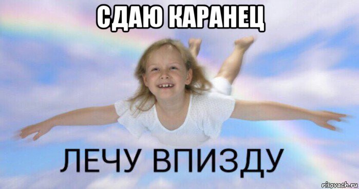 сдаю каранец 