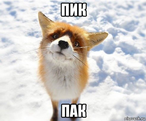 пик пак