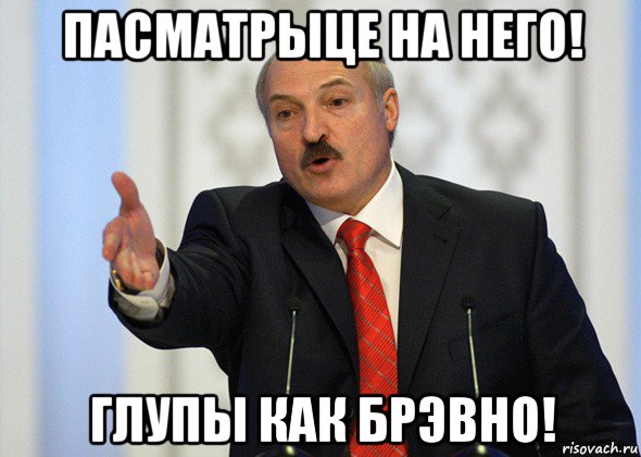 пасматрыце на него! глупы как брэвно!, Мем лукашенко