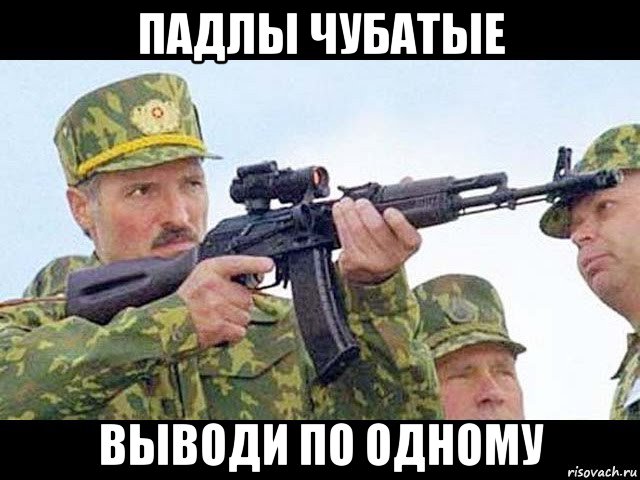 падлы чубатые выводи по одному