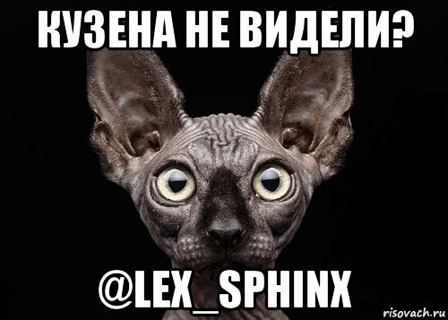 кузена не видели? @lex_sphinx