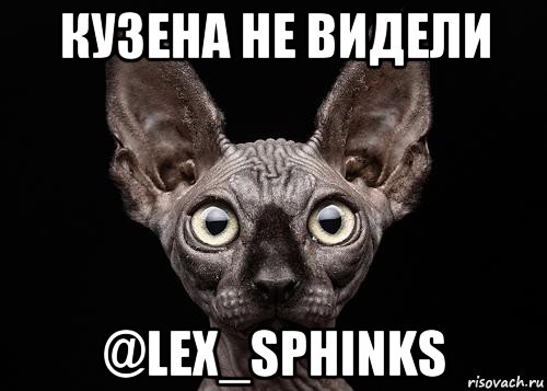 кузена не видели @lex_sphinks