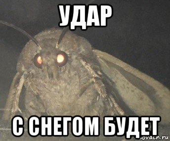 удар с снегом будет, Мем Матылёк