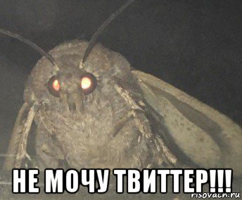  не мочу твиттер!!!, Мем Матылёк