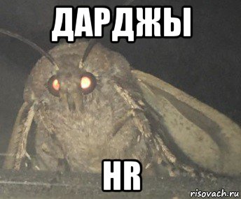 дарджы hr, Мем Матылёк