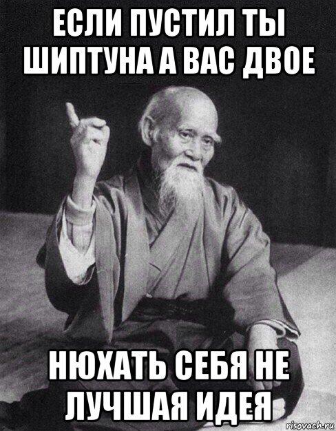 если пустил ты шиптуна а вас двое нюхать себя не лучшая идея, Мем Монах-мудрец (сэнсей)