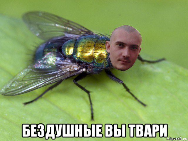  бездушные вы твари