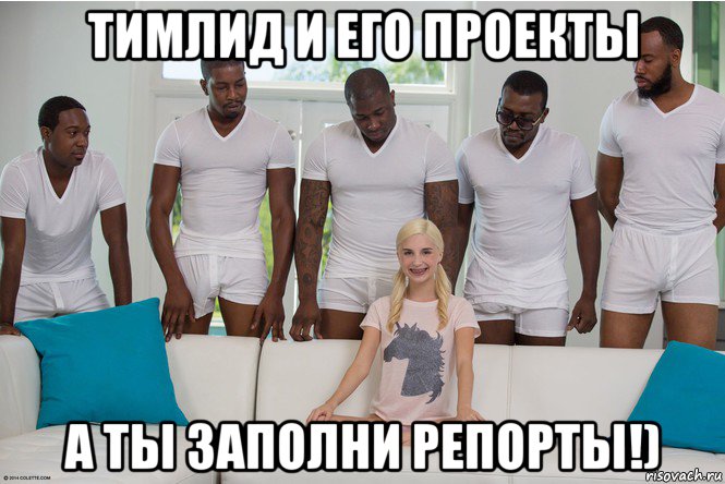 тимлид и его проекты а ты заполни репорты!)