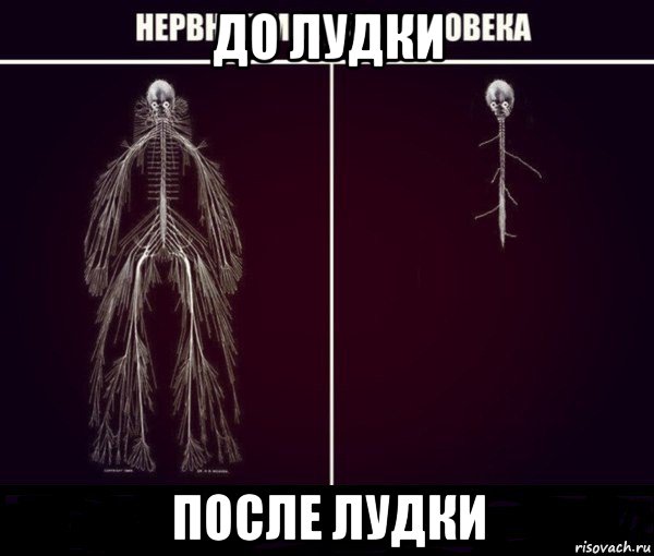 до лудки после лудки