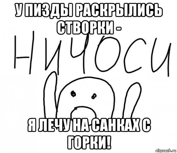 у пизды раскрылись створки - я лечу на санках с горки!, Мем  Ничоси