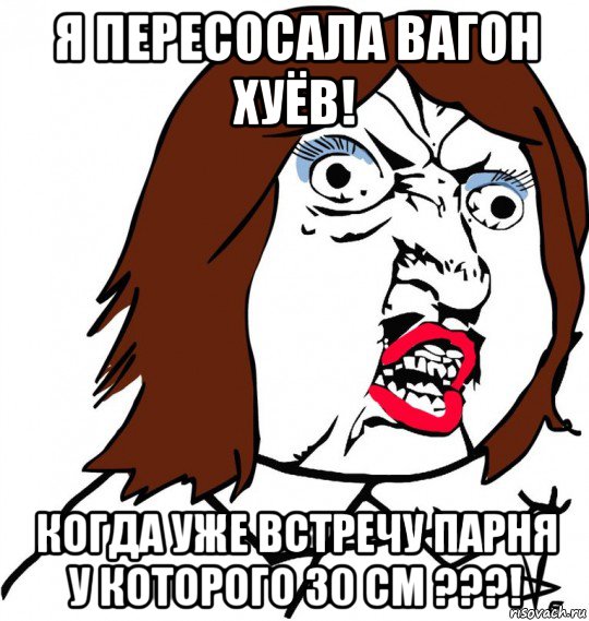 я пересосала вагон хуёв! когда уже встречу парня у которого 30 см ???!, Мем Ну почему (девушка)