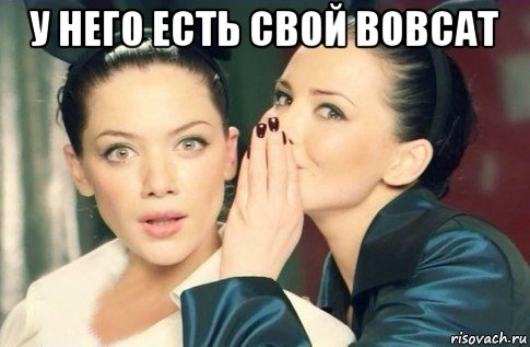 у него есть свой bobcat , Мем  Он