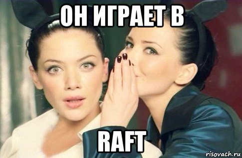 он играет в raft, Мем  Он