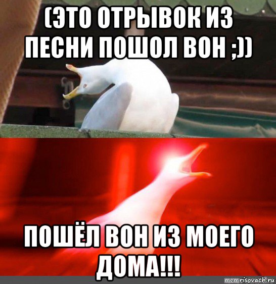 (это отрывок из песни пошол вон ;)) пошёл вон из моего дома!!!
