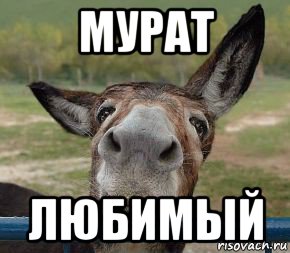 мурат любимый