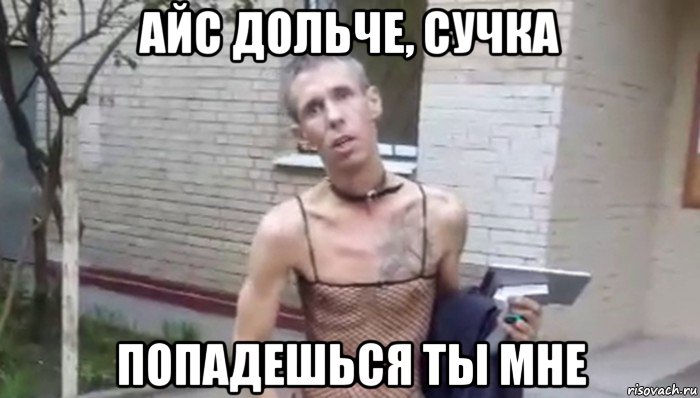 айс дольче, сучка попадешься ты мне, Мем Панин