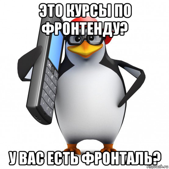 это курсы по фронтенду? у вас есть фронталь?, Мем   Пингвин звонит