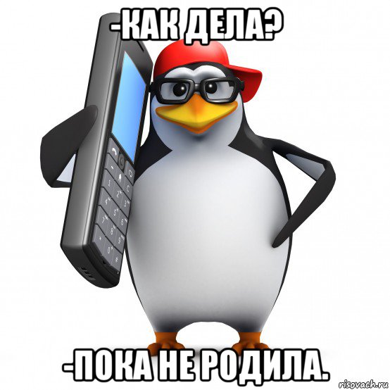 -как дела? -пока не родила., Мем   Пингвин звонит